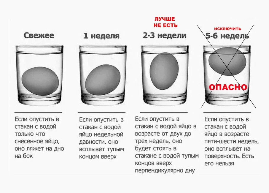 Яйцо испортилось