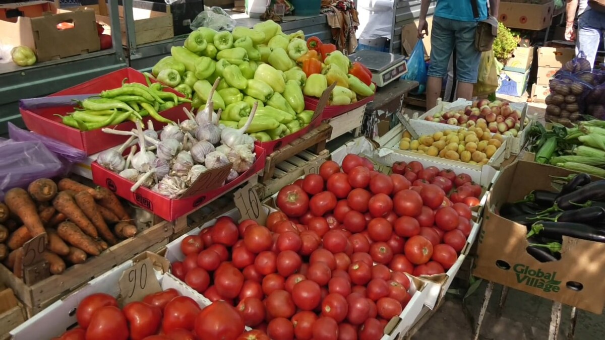 Сезонные ярмарки. Ярмарки. Сезонные овощи Крым. Сезонные продукты ноября. Сегодня есть ярмарка.