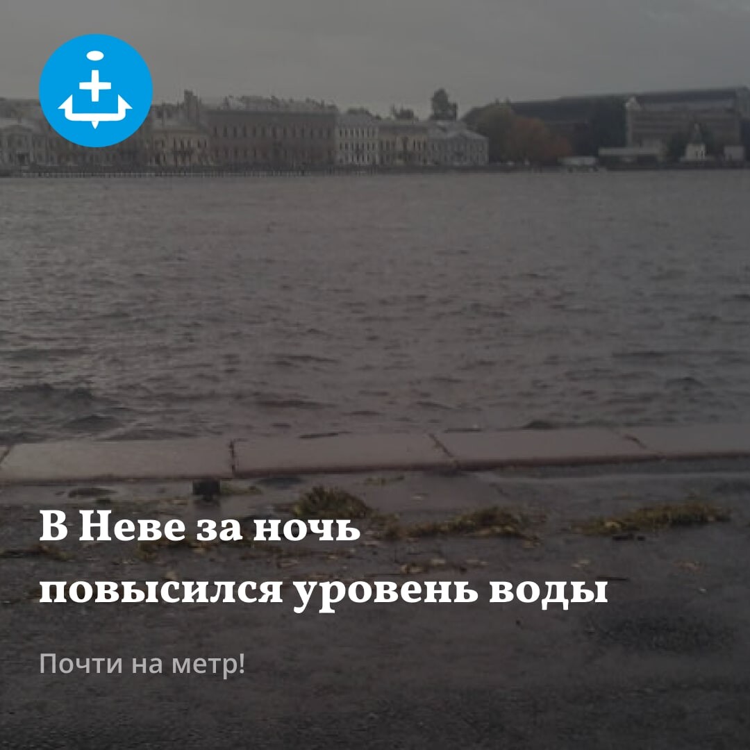 Уровень поднялся уровень повысился. Дождь на Неве. Уровень воды в Неве 2024. Город на Неве.