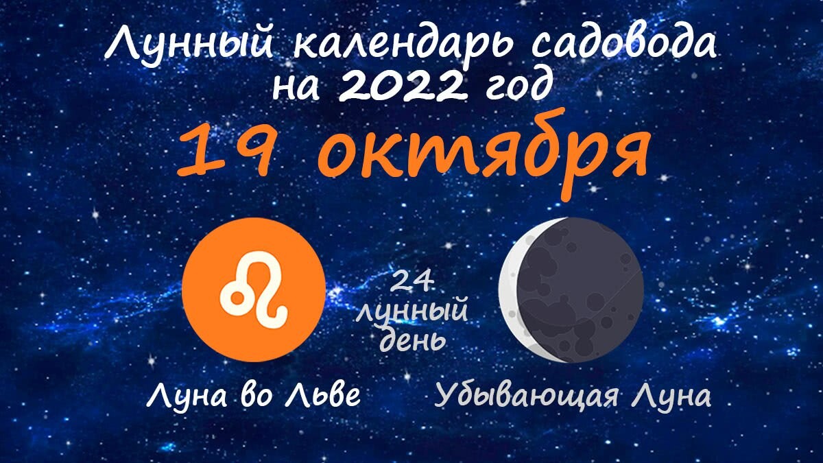 Возрастающая луна 2024 год