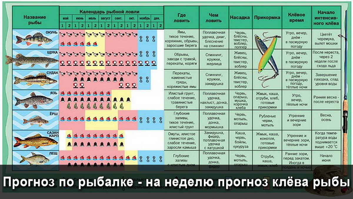 Карта клева рыбака