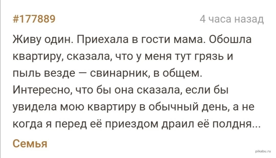 Дзен приехала мама Дзен приехала мама