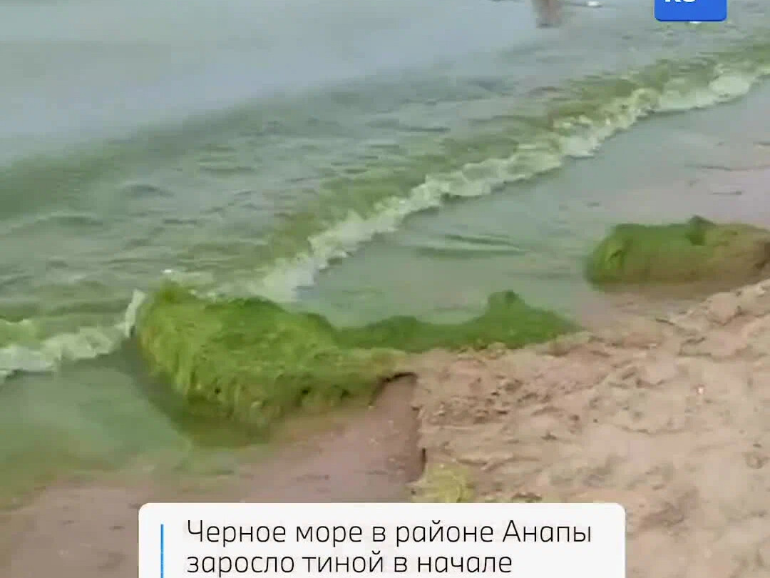 Анапа пляж дзен