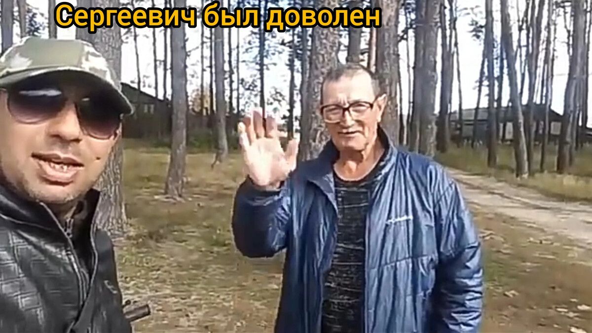 Бобры из бразилии дзен. Смешной ленивец. Бобры из бразилии дзен. Блог бобра дзен. Блог бобра дзен.