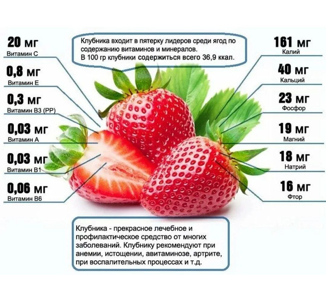 Факты о клубнике