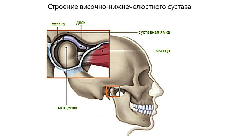 Стенки внчс