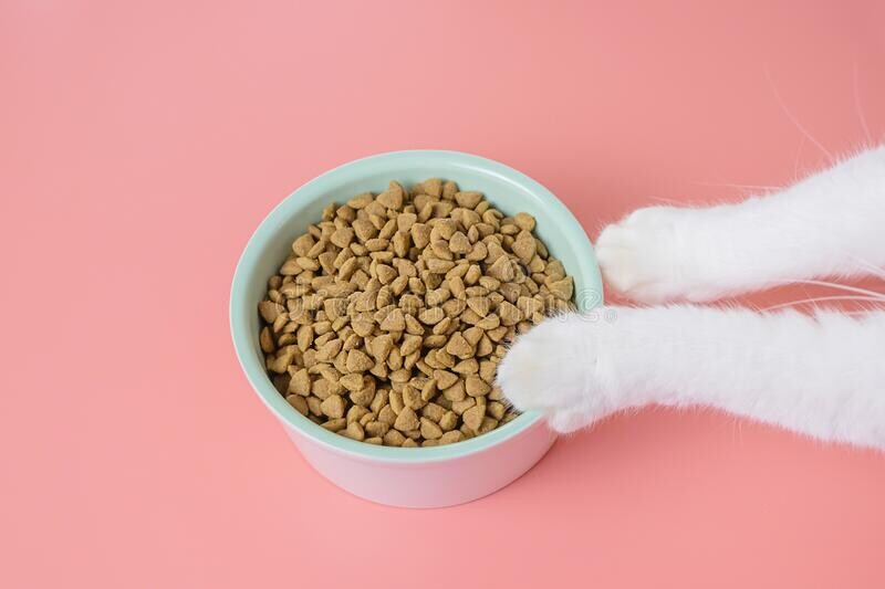 Корм. Натуральный корм для домашних животных. Кормовых добавок для животных. Сухие животные корма для непродуктивных животных. Корма для непродуктивных животных.