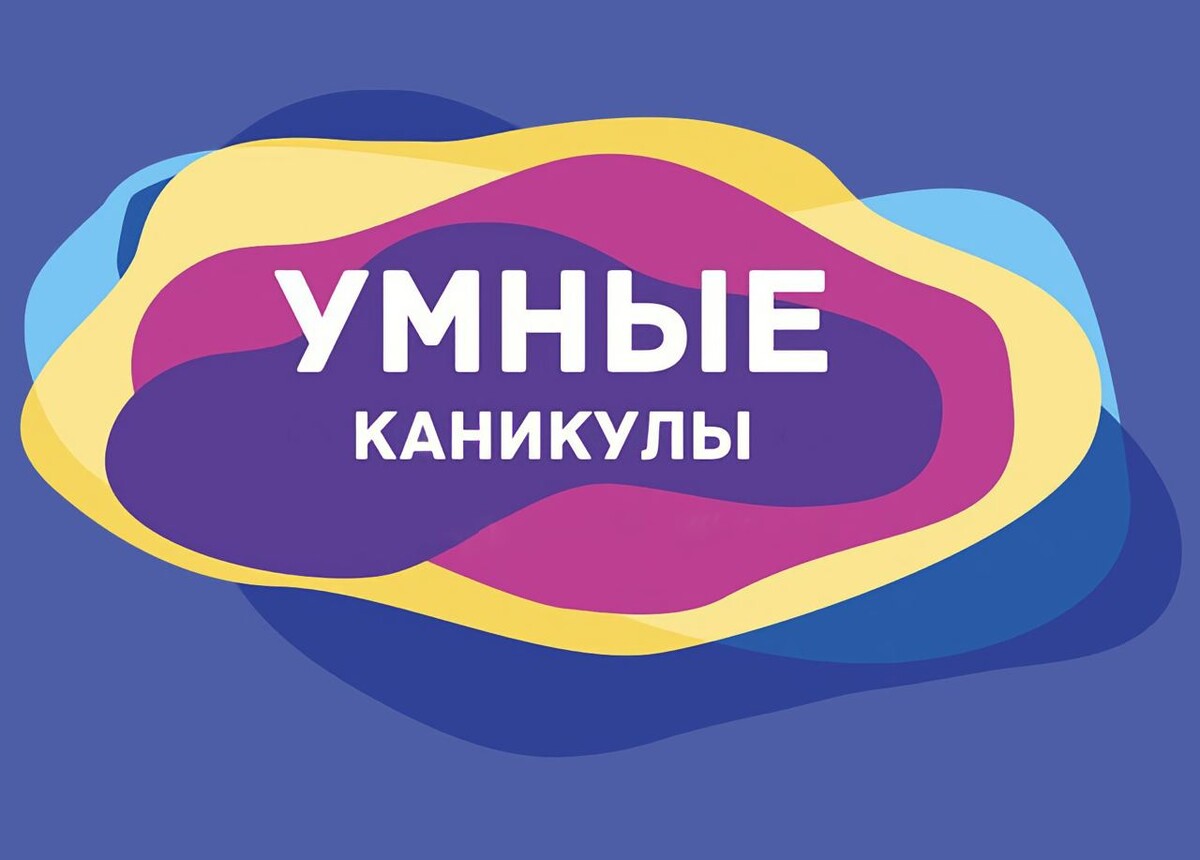 Цель проекта умные каникулы