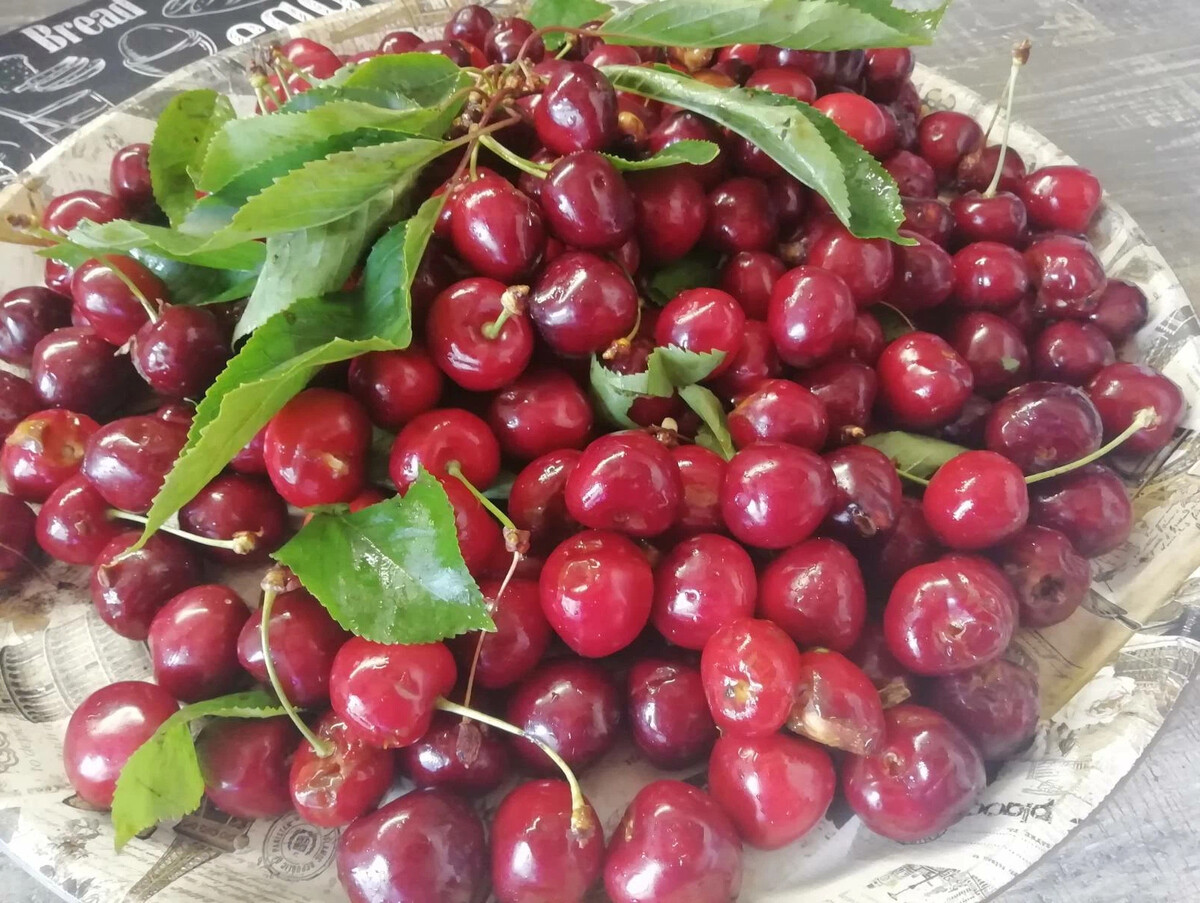 Вишня прикол. Кот и черешня. Хочу черешню. Кот с вишенкой. Шутки про черешню.