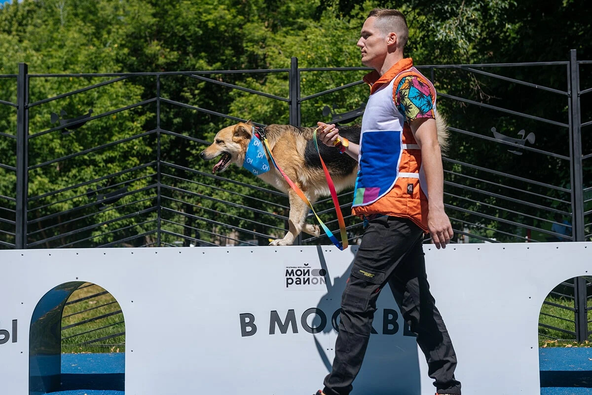 Питомцы в москве площадки. Площадка питомцы в Москве. Собачья площадка в Москве. Пет проект.