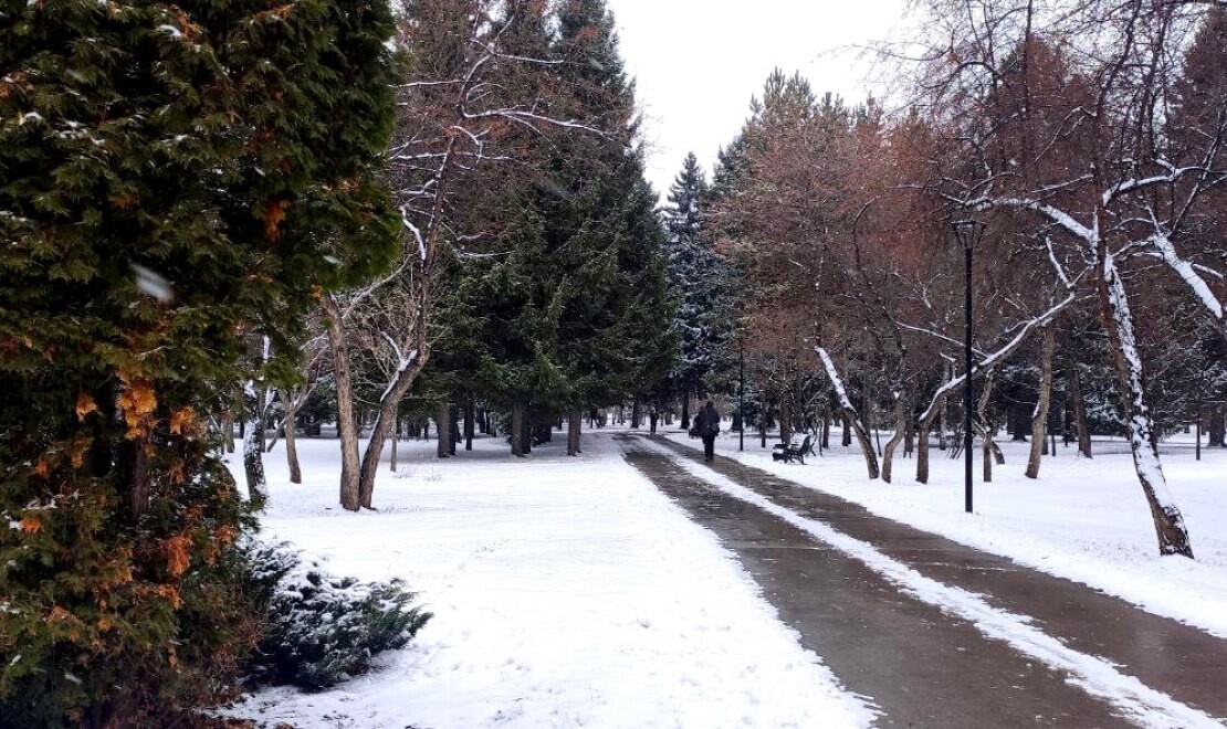 Теплая зима фото. Новосибирск в ноябре. Зимняя погода. Зимняя погода фото.