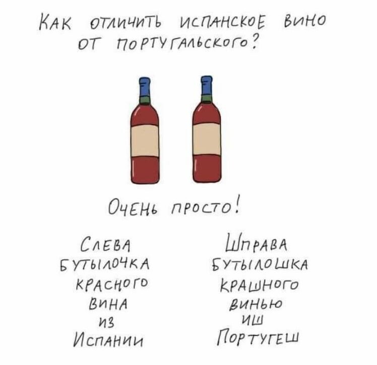 Фразы про вино. Учимся разбираться в вине. Разбирается в вине. Как я разбираюсь в вине. Просто вино на 6 линии.