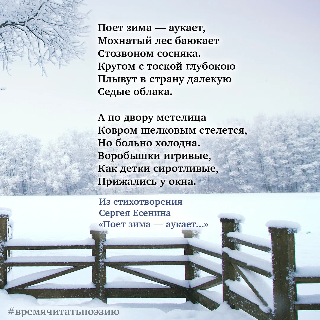 Есенин матерные стихи. Стихи есенина монашка. Стих мне бы женщину белую белую. Есенин ляжки. Стихи есенина монашка.
