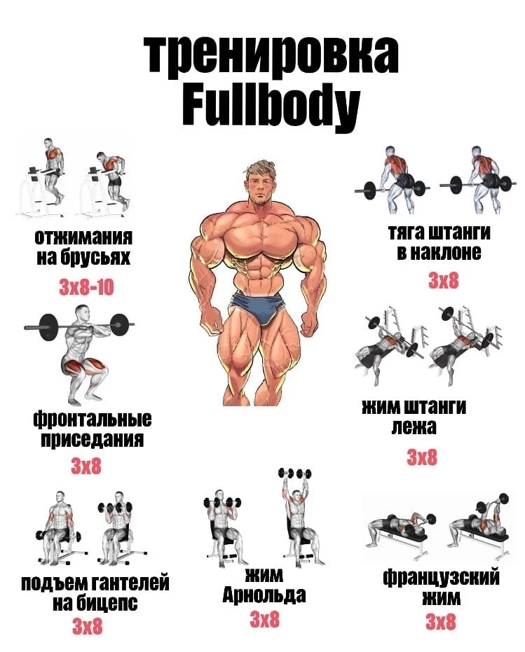 Фулбоди тренировка. Фулбоди программа тренировок для мужчин. Схема фулбоди для новичков. Упражнения культуриста.
