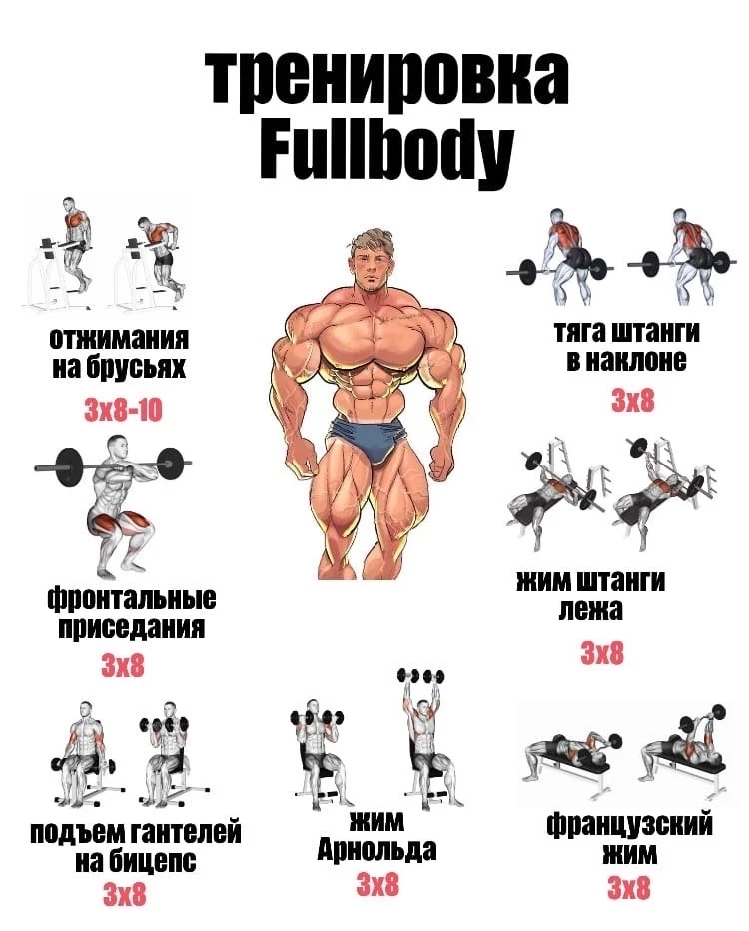 Фулбади тренировка программа в тренажерном зале. Упражнения фулбоди. Фулбоди тренировка в тренажерном зале. Фулбоди программа тренировок. Фулбоди программа тренировок для мужчин.