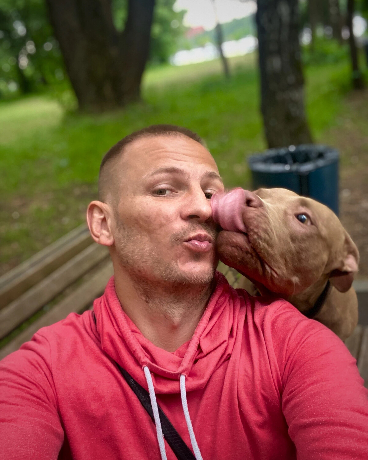 питбуль джина. питбуль тайсон джина. питбуль тайсон джина. Pitbull gina / питбуль джина. питбуль тайсон.