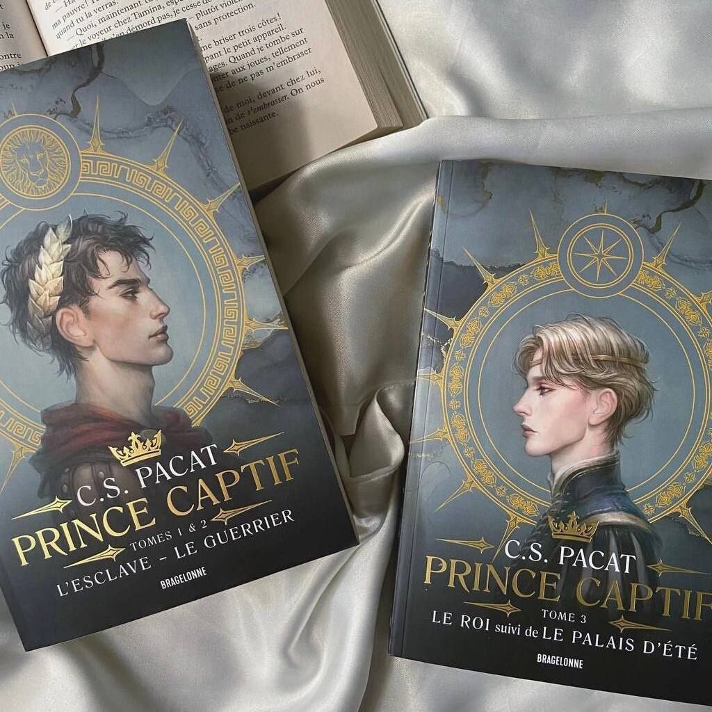 Маленький принц отзыв. Ru. "случайный принц". А де сент экзюпери маленький принц. Сент-экзюпери маленький принц книга.