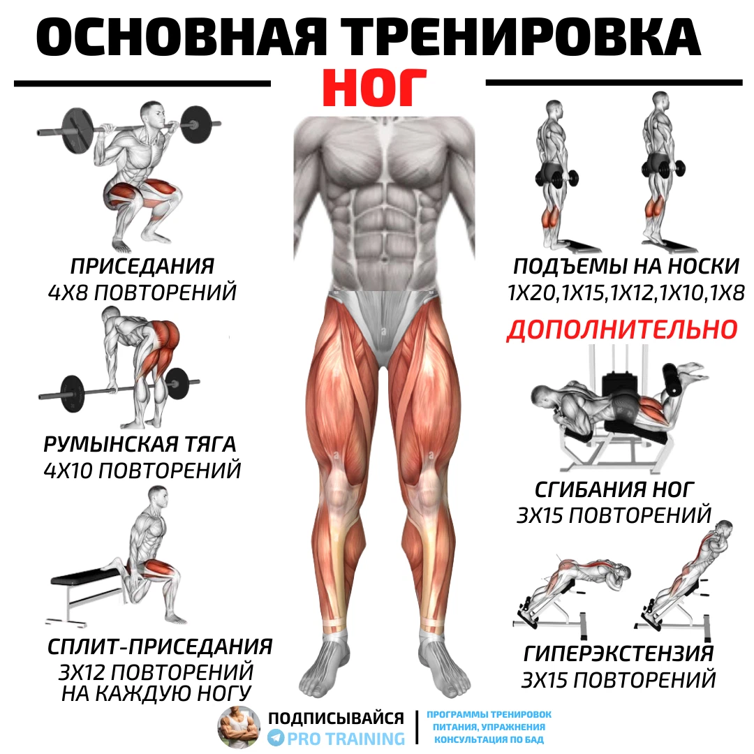 Упражнения для прокачки ног. Эффективные упражнения для прокачки ног. Упражнения прокачивание ног. План упражнений для прокачки ног.