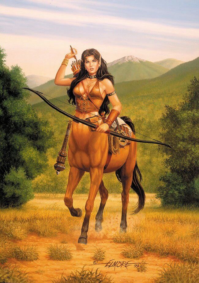 Человек на лошади. Как называется девушка лошадь. Конкур лошадь фотосессия. Как называется девушка лошадь. Девушки войны на лошадях.