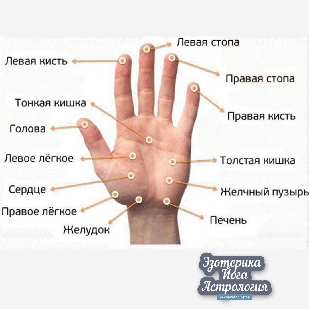 Массажные точки на руках за что отвечают схема