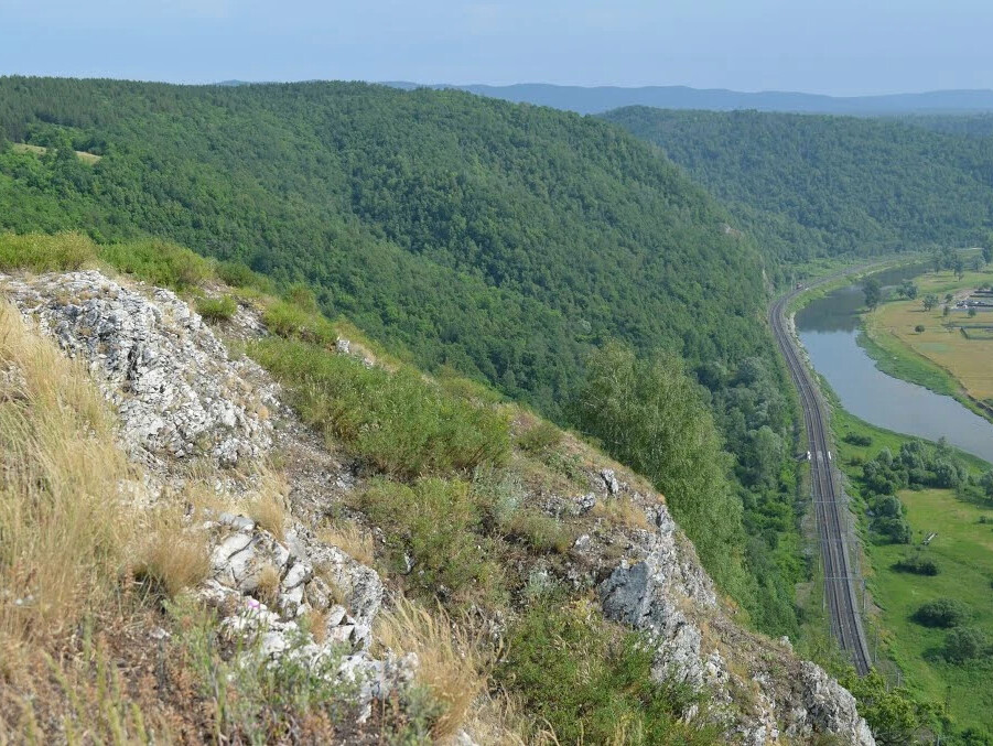 Аша липовая гора фото