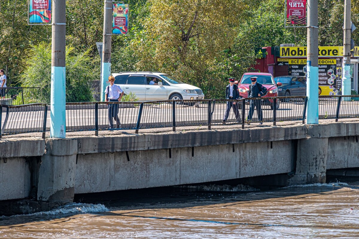 подвесной мост чита