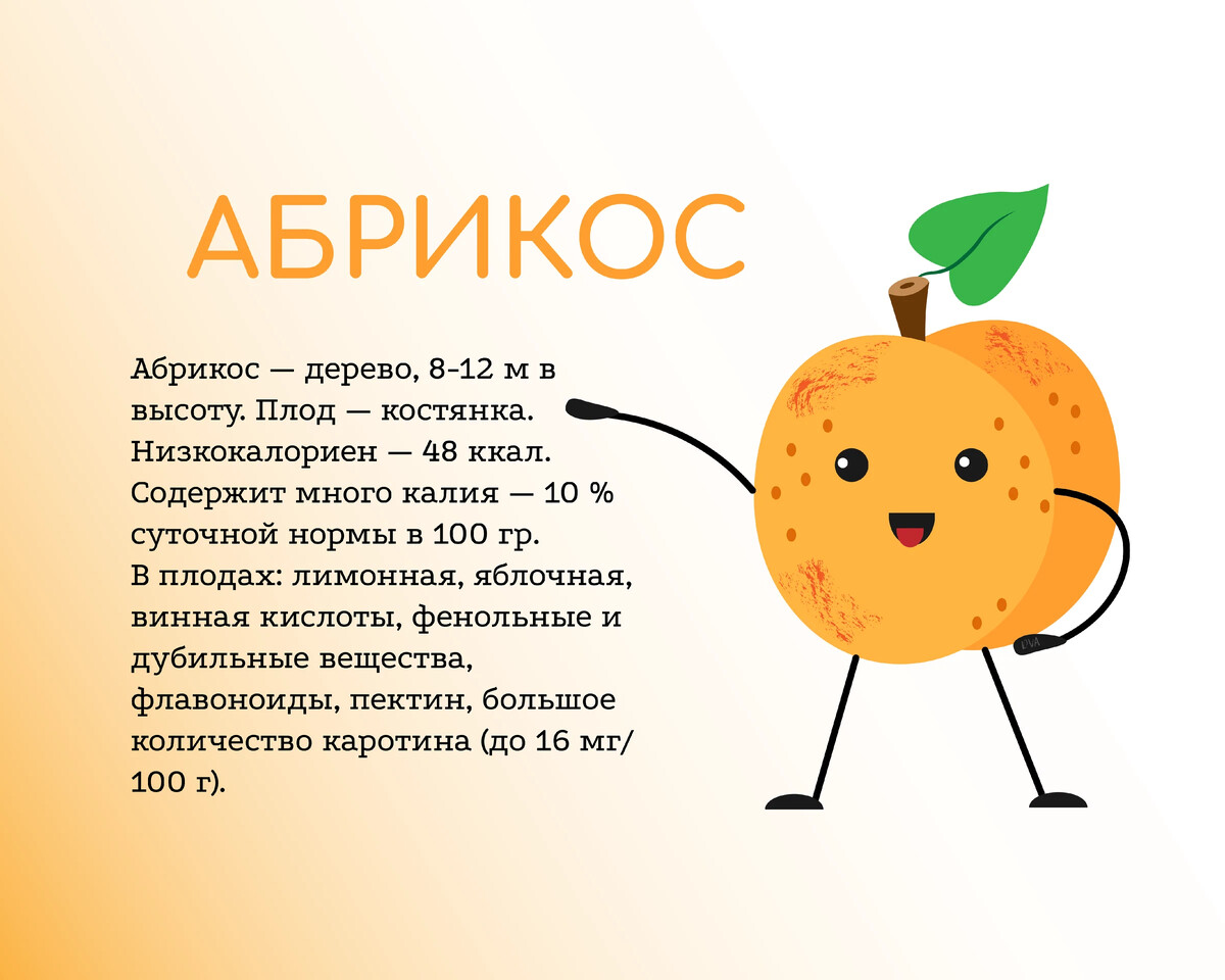 Абрикос польза для здоровья. Чем полезны абрикосы. Абрикос полезные свойства. Абрикос польза.