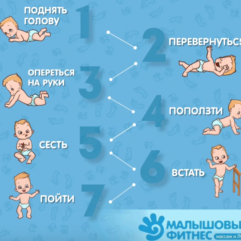 Таблица развития новокриницкий