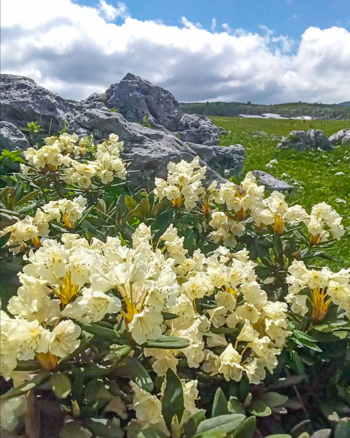 На гамаке на море