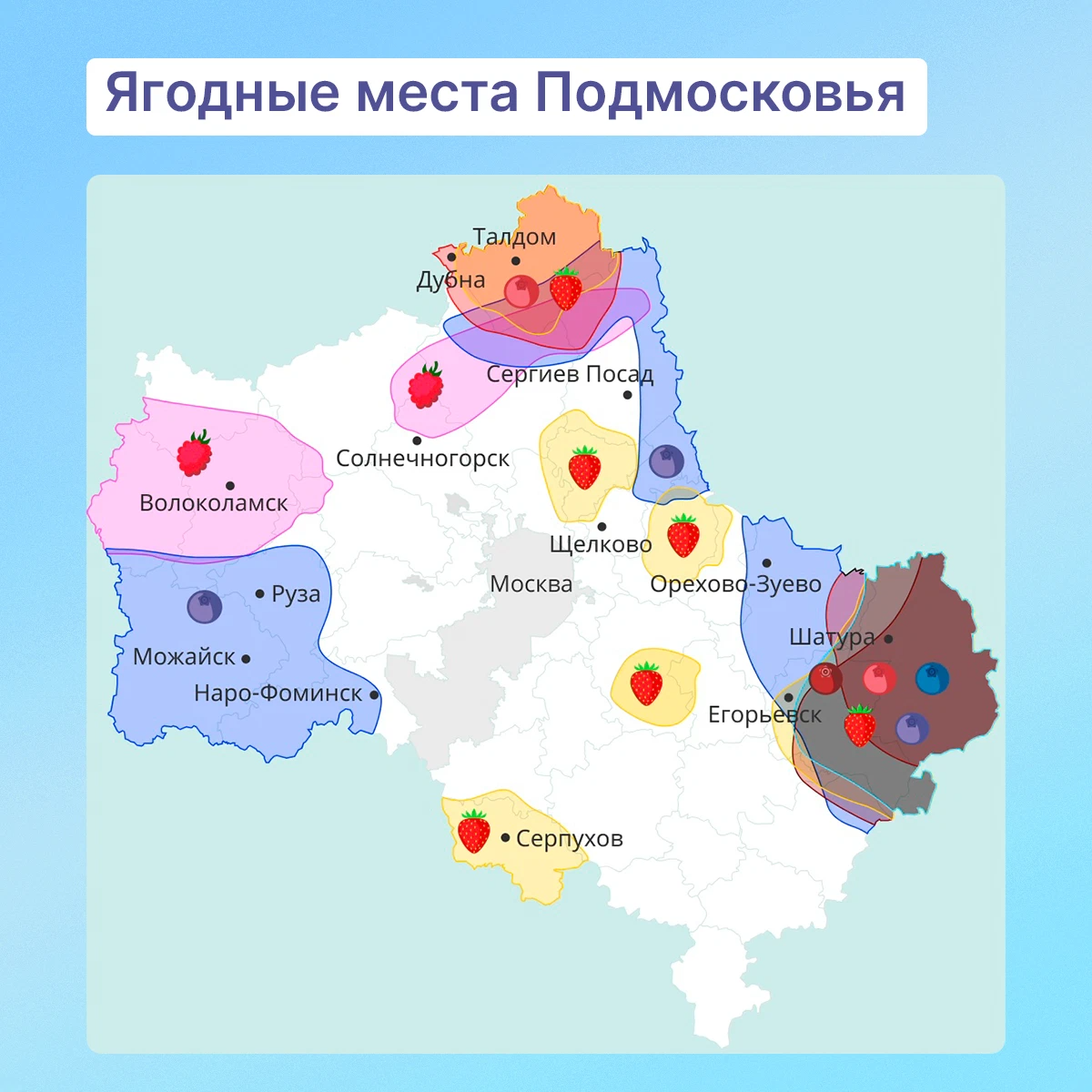 Карта ягодных мест Подмосковья. Карта ягодных мест Ленинградской области. Карта ягодных мест Владимирской области. Ягодные места под Ногинском.