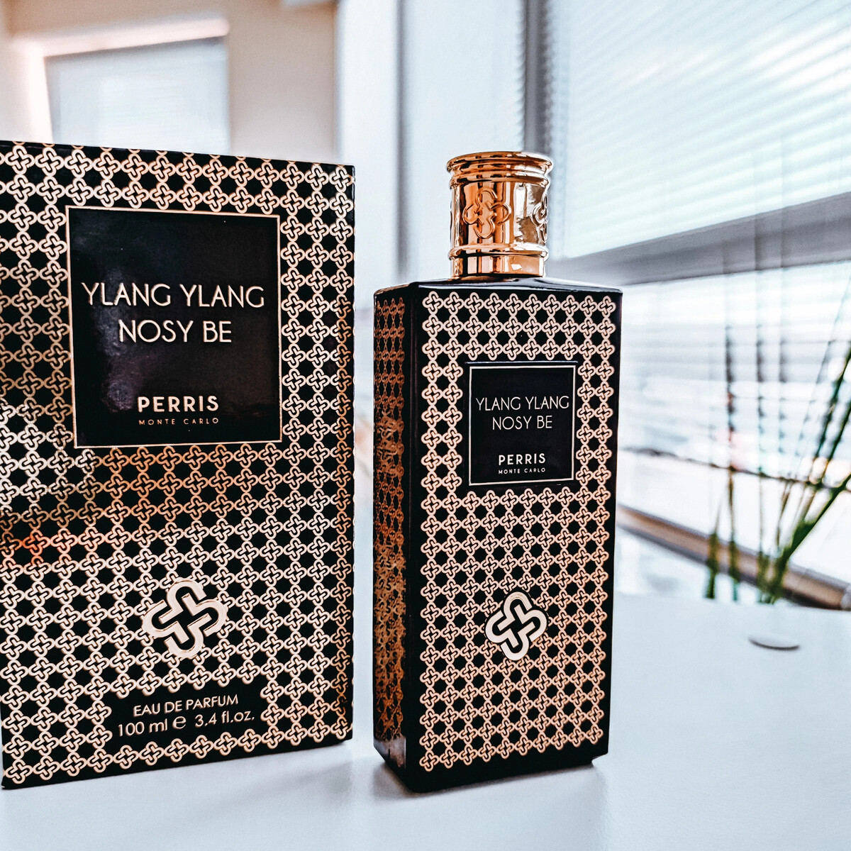 Mimosa tanneron perris monte. Lavande romaine perris monte carlo. Perris monte carlo. Perris monte carlo ylang ylang nosy be. Jasmin de pays perris monte carlo.