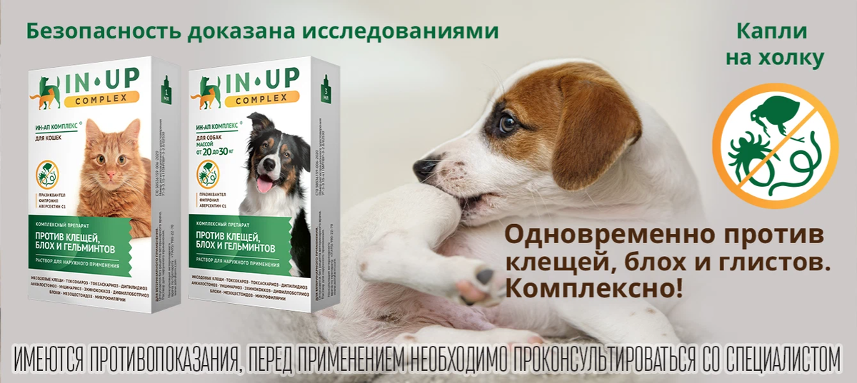 Ин ап от клещей. Ин ап. Ин-ап комплекс для кошек. Ин-ап комплекс для собак весом до 10кг. Ин-ап комплекс для собак весом от 20 до 30 кг 1 уп..