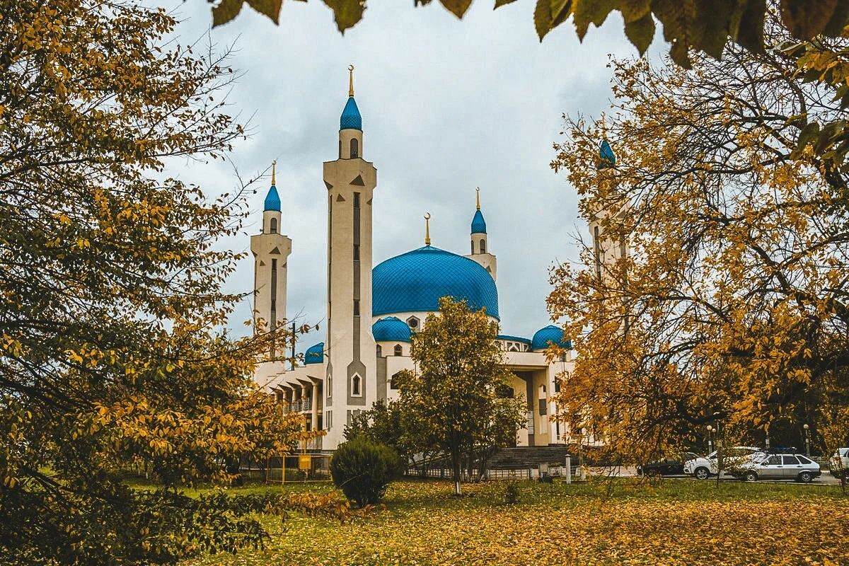 Город майкоп фото города