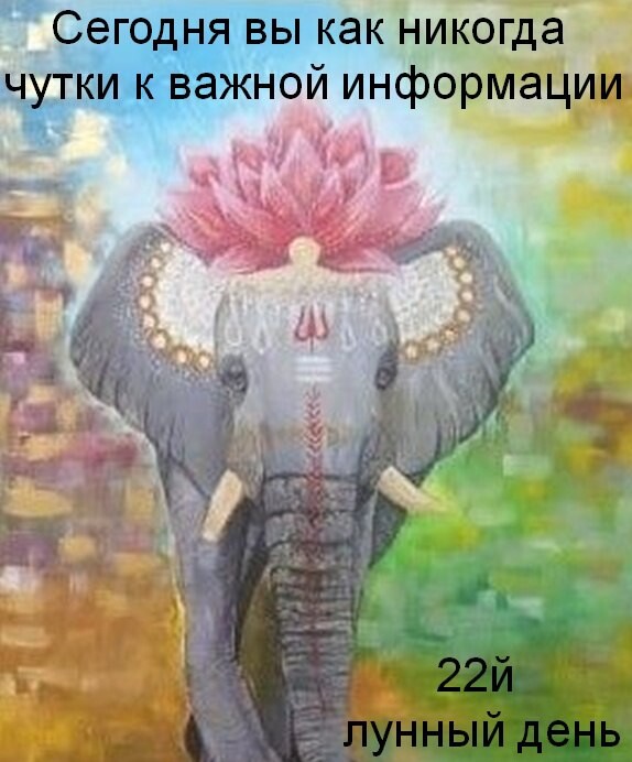 22 лунный день картинки