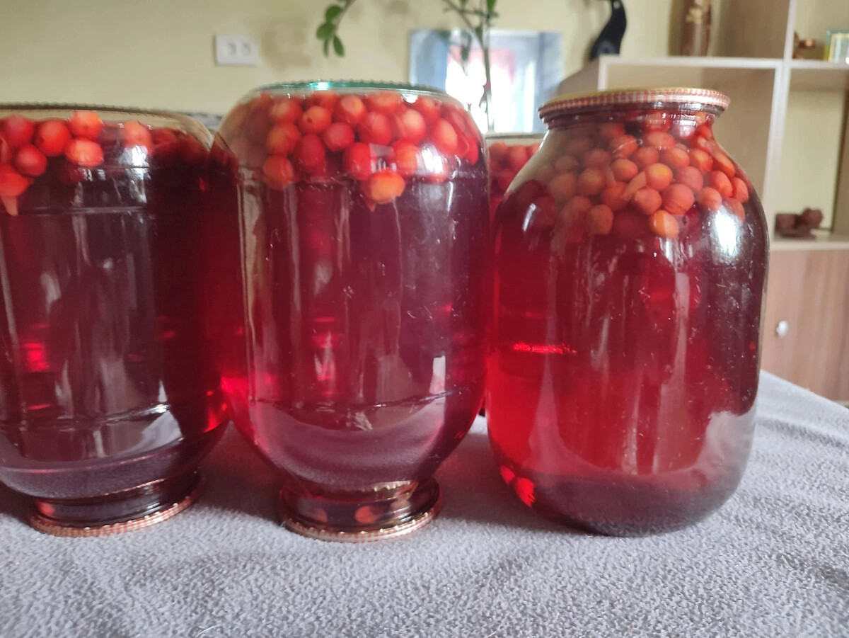 Компот из вишни на зим. Компот из вишни на зим