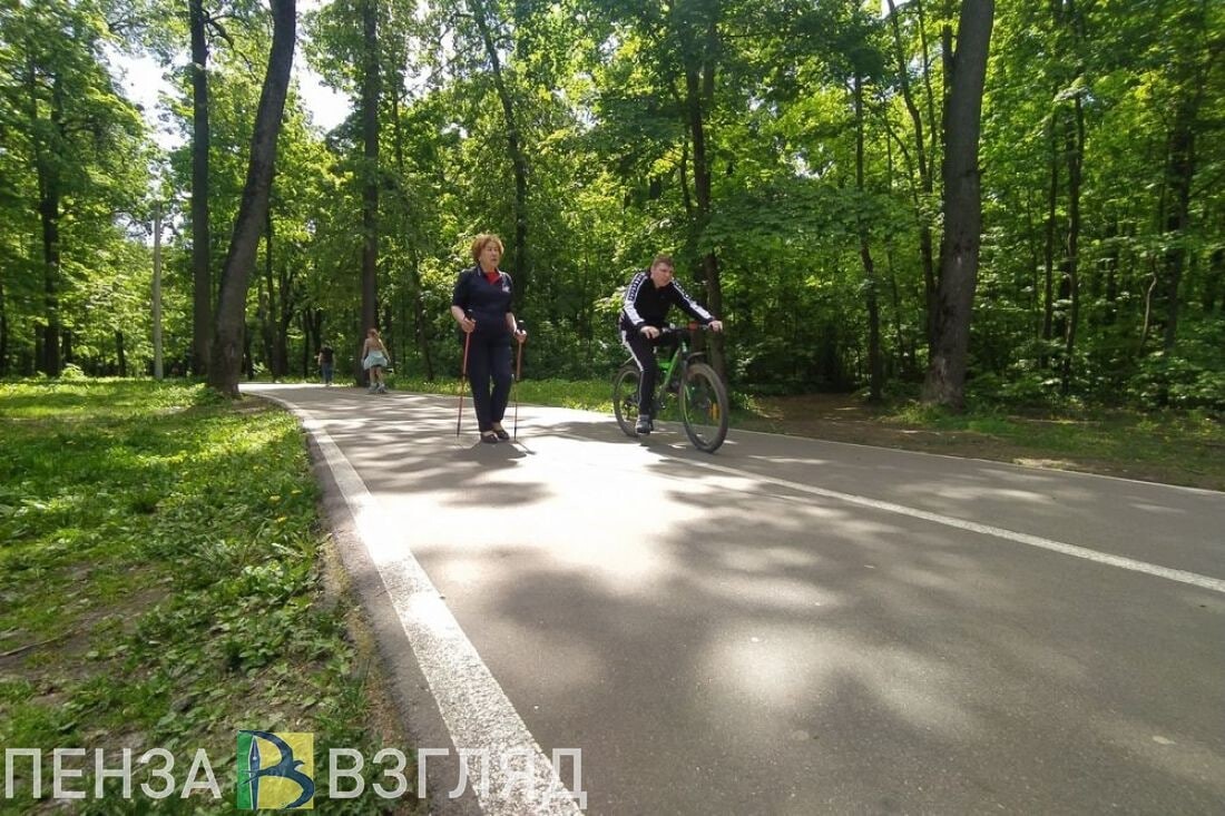 Карта олимпийской аллеи в пензе