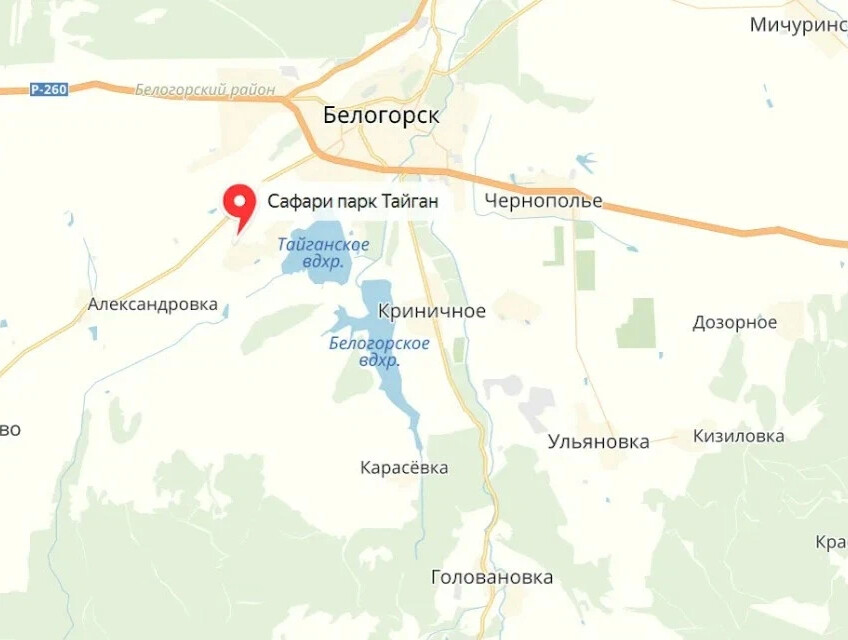 Где находится тайган в крыму карта - 91 фото