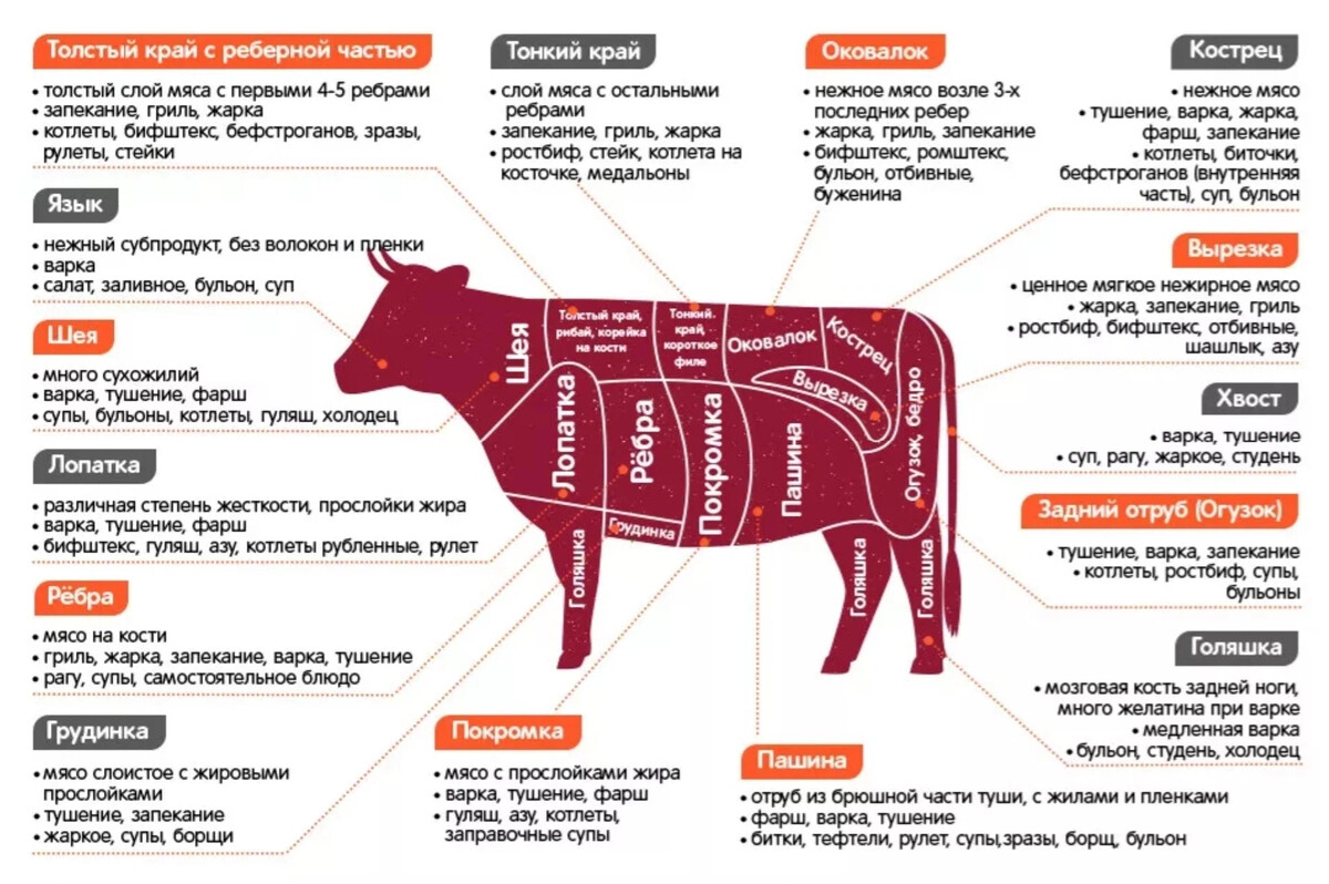 Части говядины названия и фото