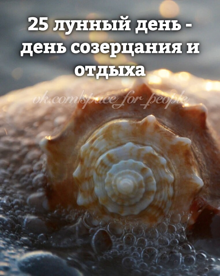 25 лунный день картинки