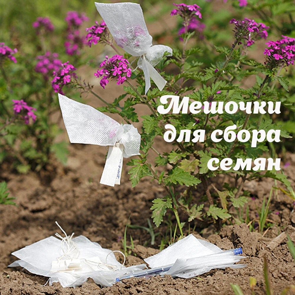 Мешочки для сбора семян своими руками. Линейкой измерьте ширину и длину ...