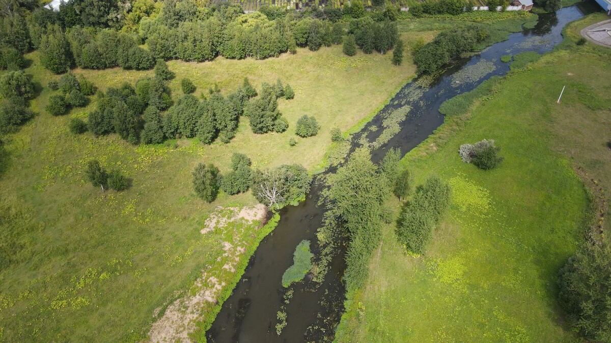 Пушкино село тарасовка