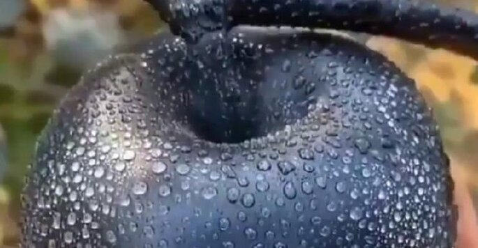 lazy_smart_crop_720x356