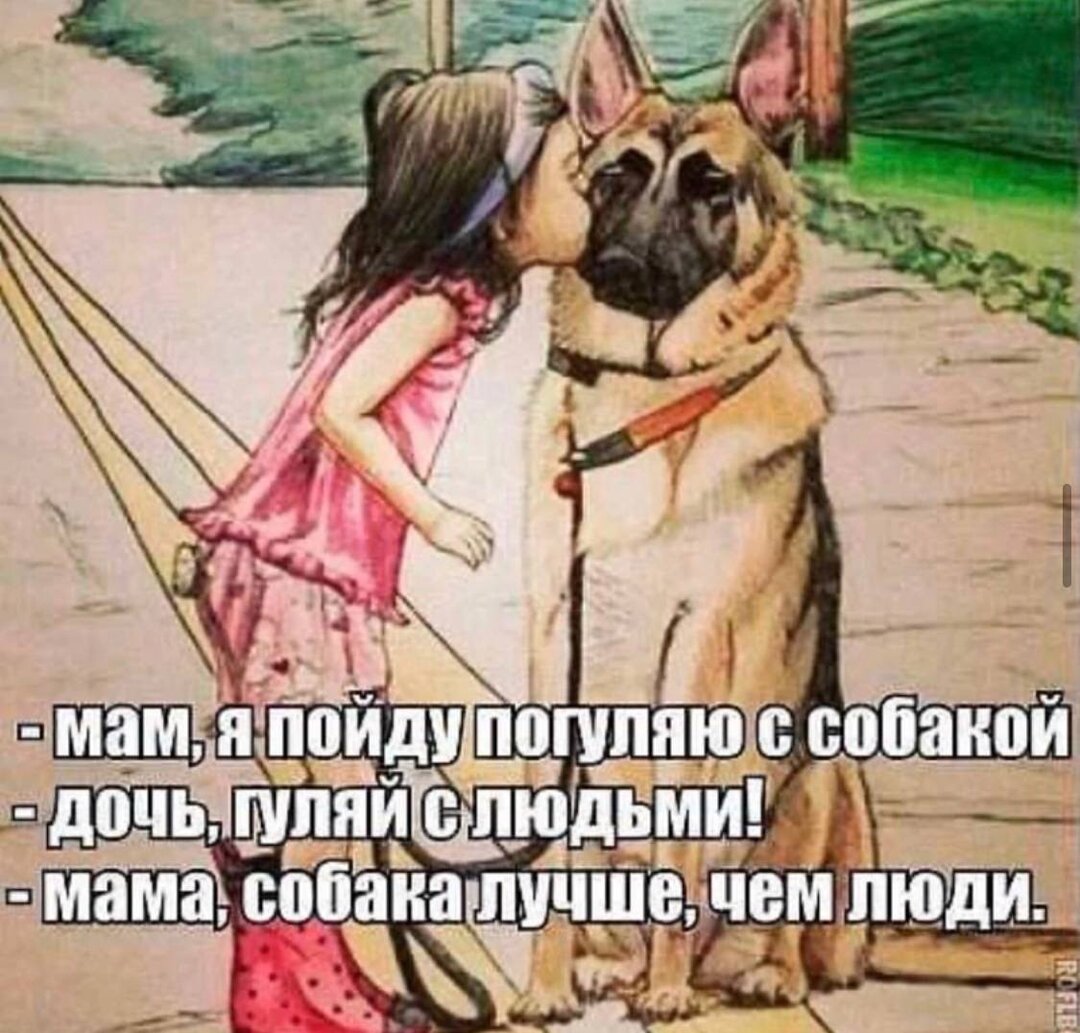 Собаки лучше людей