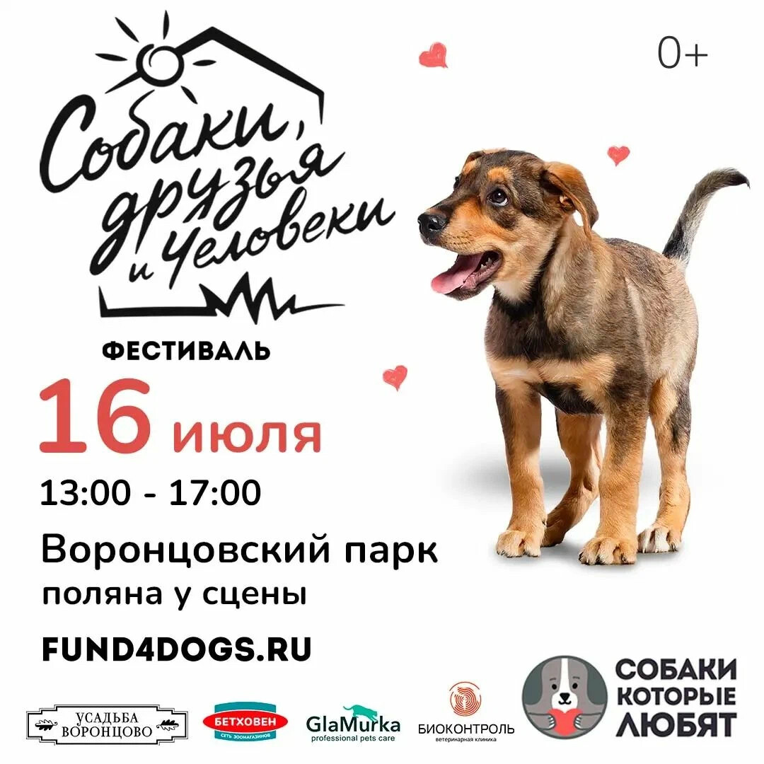 Dog friendly наклейка. Тесты на pra у собак. Dog friendly map. Дог френдли нижний новгород. Дог френдли места.