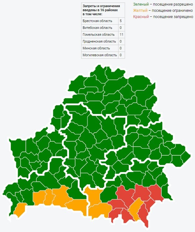 Карта запрета посещения лесов в беларуси на сегодня интерактивная карта