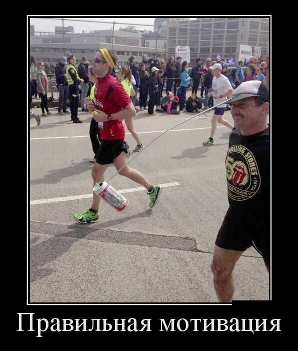 Мотиватор на работу прикольные. Мотивация смешные картинки. Смешные мотивирующие фразы. Смешно про мотивацию. Смешно про мотивацию.
