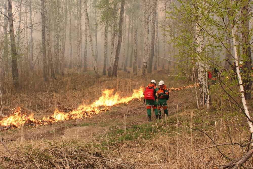 Природные пожары. Пожары в Тюменской области. Пожар в лесу. Лесные пожарные.