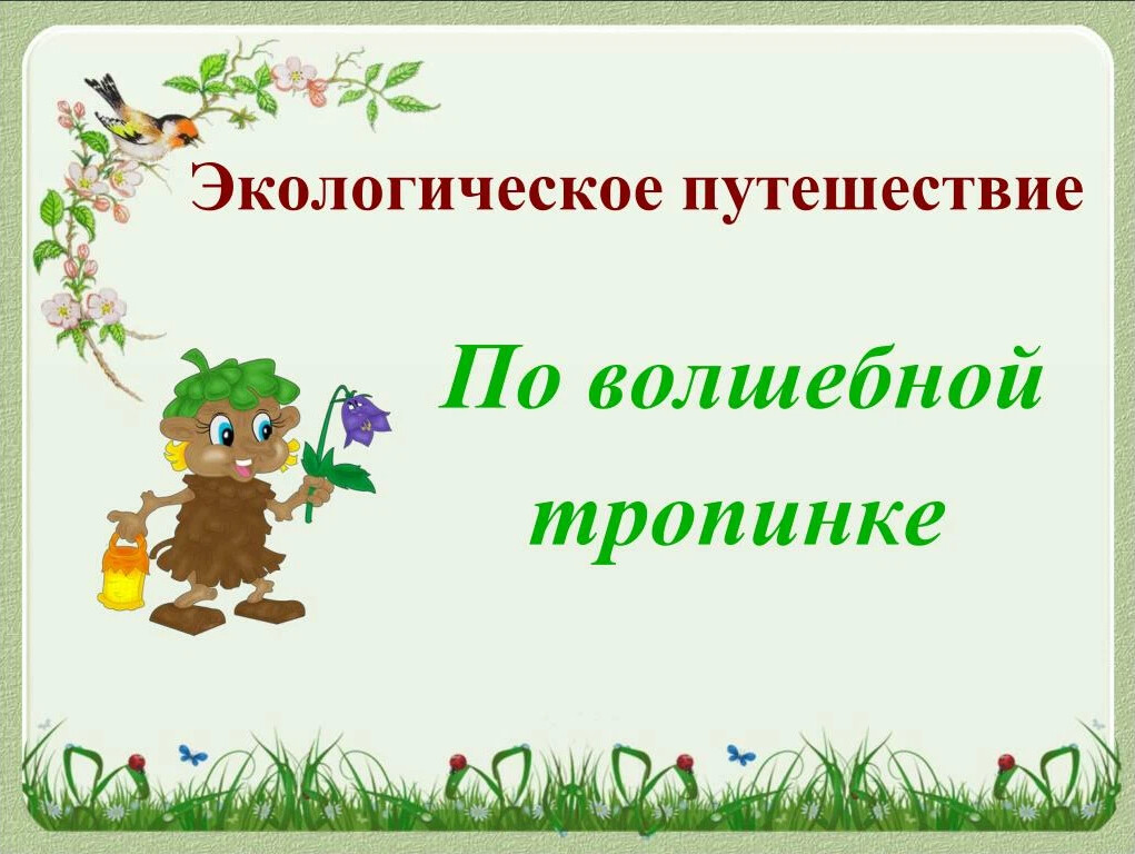 Презентация путешествие по экологической тропе для дошкольников