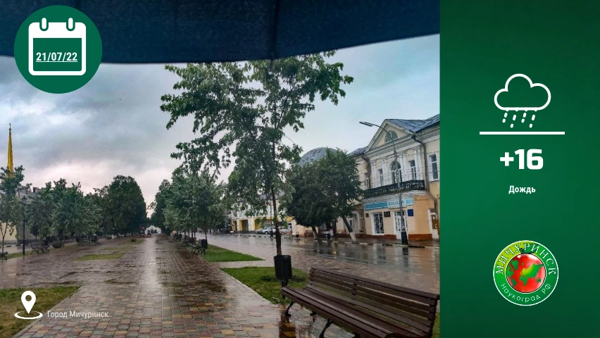 Погода в Мичуринске.