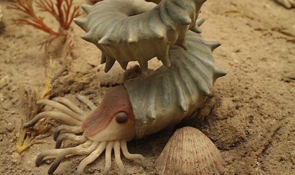 lazy_smart_crop_720x356